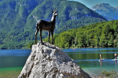 Szlovénia, Bohinji-tó 2