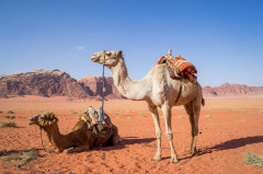 Jordánia, Wadi Rum teve