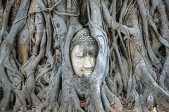 Thaiföld - Ayutthaya