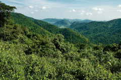 Thaiföld - Khao Yai