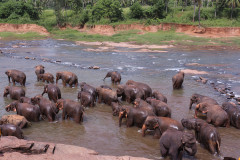 Sri Lanka