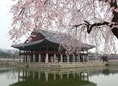 Dél-Korea - Gyeongbok palota