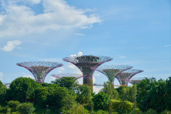 Szingapúr botanikus kert
