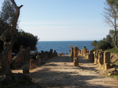 Algéria, Tipaza