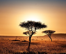 Kenyai naplemente