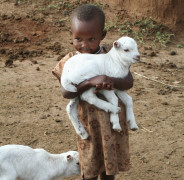 Kenya, kisgyerek kecskével