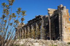 Marokkó, Volubilis