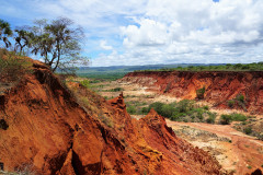 Madagascar, tsyngi