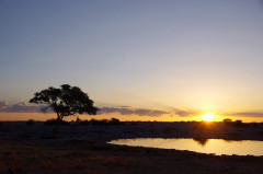 Namíbia,  Ethosa Nemzeti park