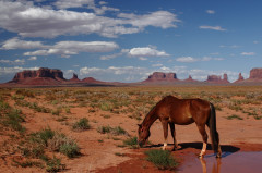 USA, Monument Valley