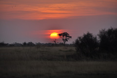 Botswana, Okavango Delta napnyugta